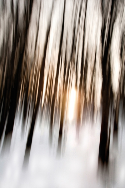 GHOSTS-666X100